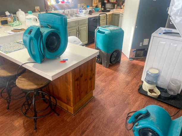Best Residential water damage restoration  in Lena, IL