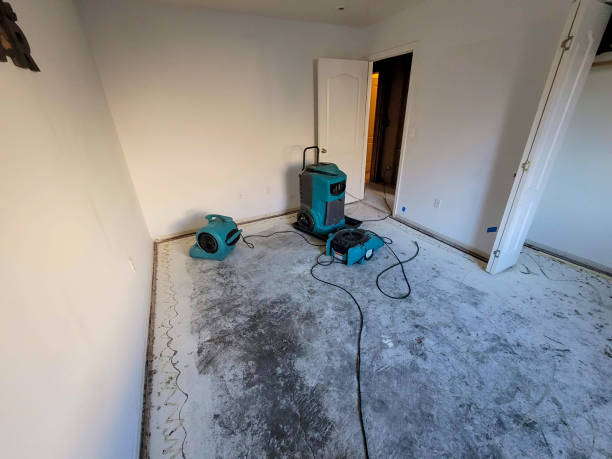 Best Water damage restoration services  in Lena, IL