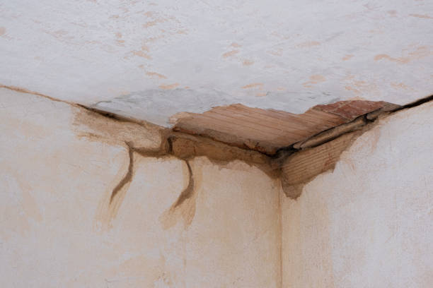 Best Water damage restoration near me  in Lena, IL
