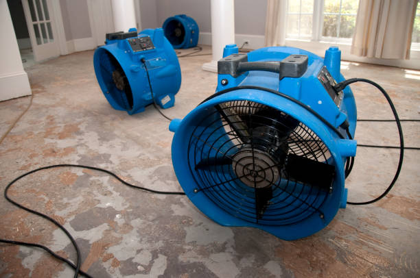 Best Water damage contractors near me  in Lena, IL
