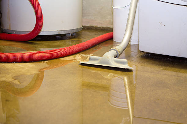 Water damage restoration insurance claims in Lena, IL