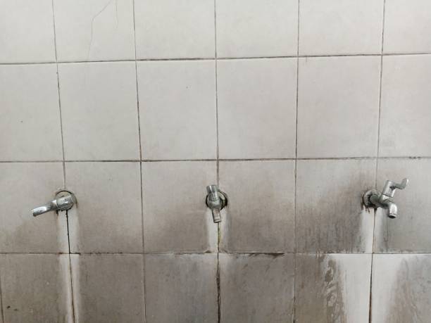 Best Water damage repair service  in Lena, IL