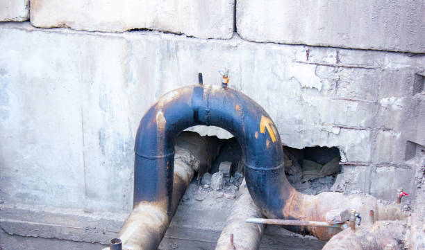 Best Commercial water damage restoration  in Lena, IL