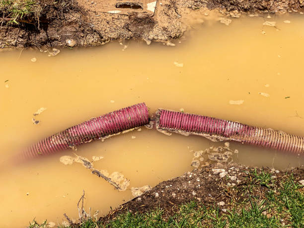 Carpet water damage restoration in Lena, IL