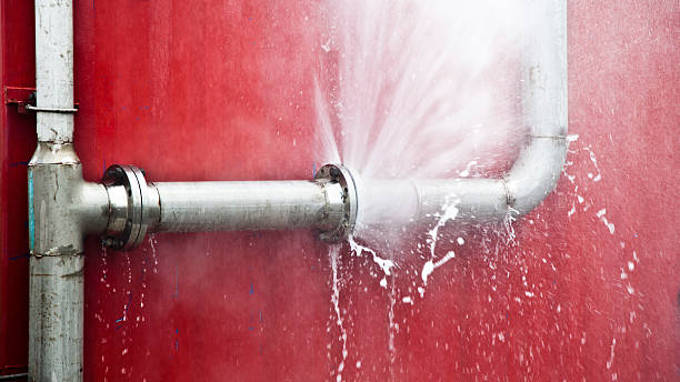 Best Flooded house restoration  in Lena, IL